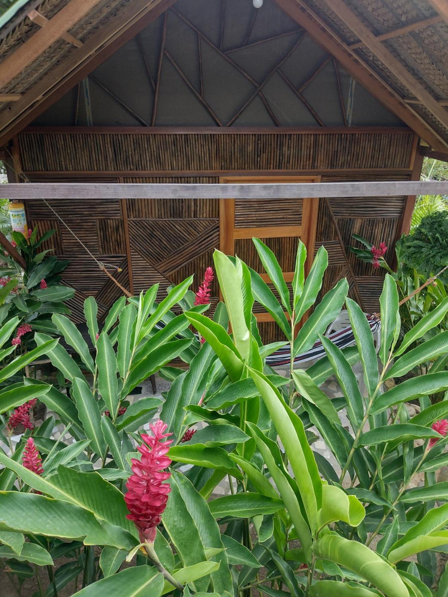 Villa Casa Kumake Tayrona Zaino Exterior foto